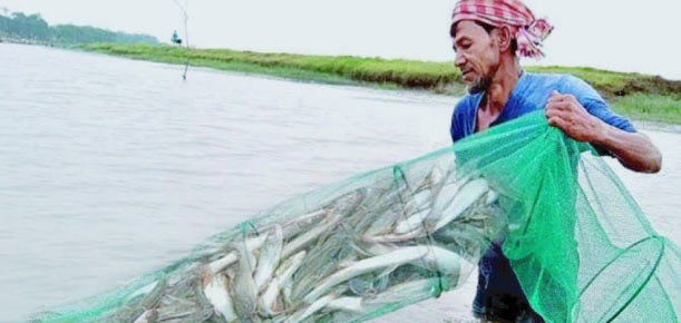 ceb15270-cbc3-41d2-8e20-022377b214b937286