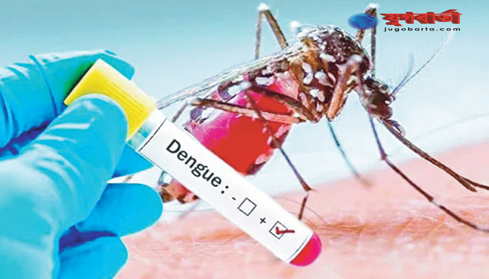 2295bb1f-e2ca-4172-9d8d-2e154ebf309b26664