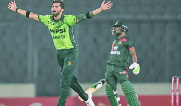 8bbd6b95-673a-4a4f-8773-a80ce1bb31cb40312