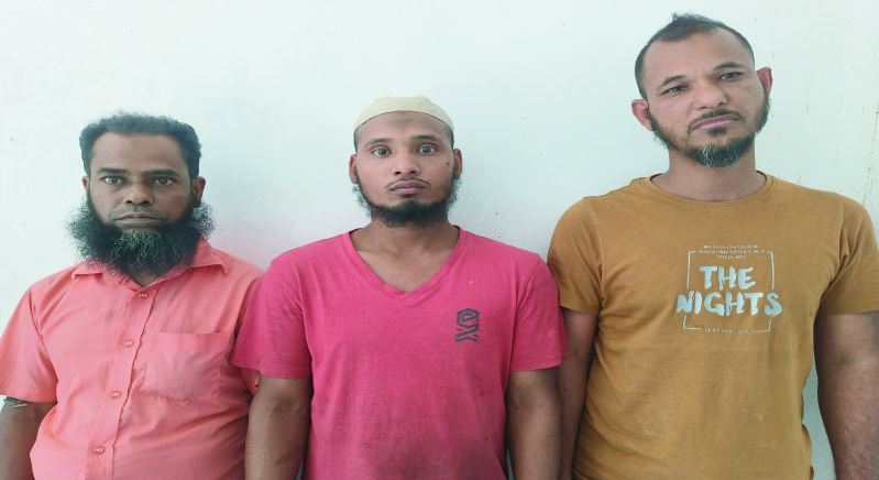 5b3731a5-74d8-4054-9d03-d7e7e44b2f3b31648