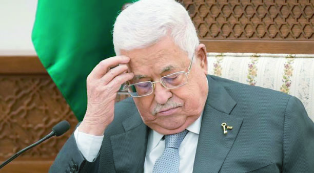 8e1f8808-393a-4fb3-8f29-031ba412815335692