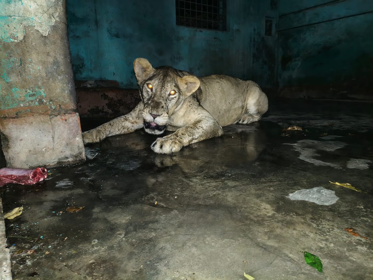 7823a4c4-cd90-4253-840c-d1ce799664c538069