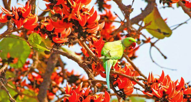 51cb2e86-ddbc-4c38-a476-761806c2eddb39688