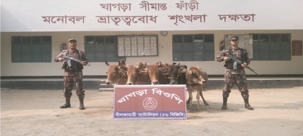 4dd36561-566a-40c4-836a-c83ea1888b1230452