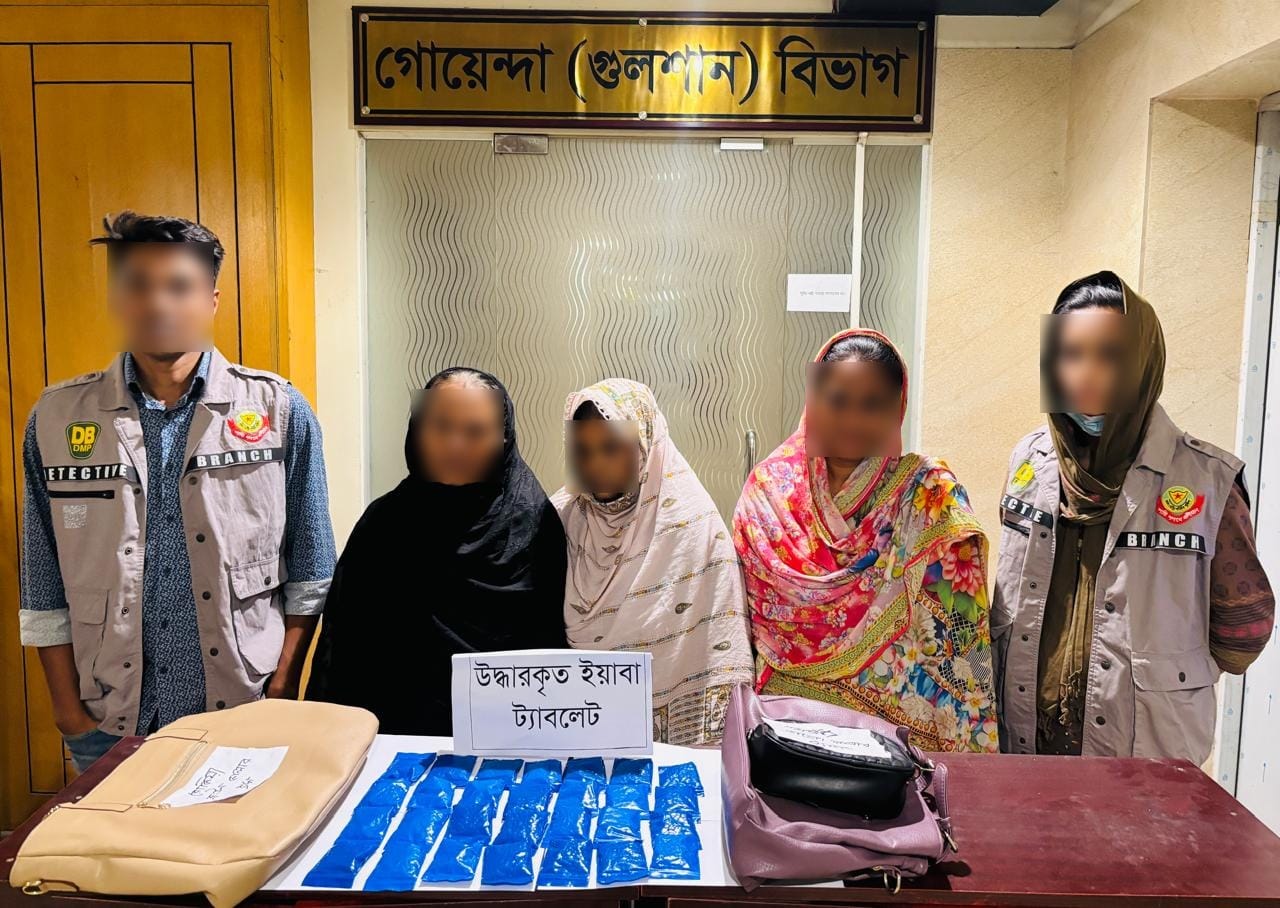 c11f99a0-282a-4d50-9c48-5b219e3a7c1337065