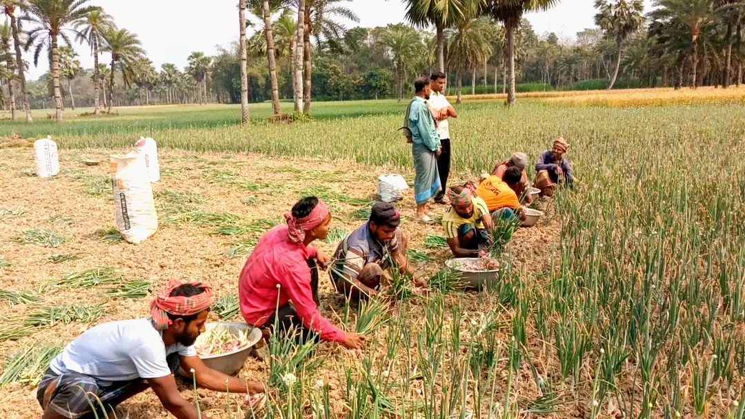 6c5cd5fd-f375-4abe-9c6c-c648a11bd61d40170