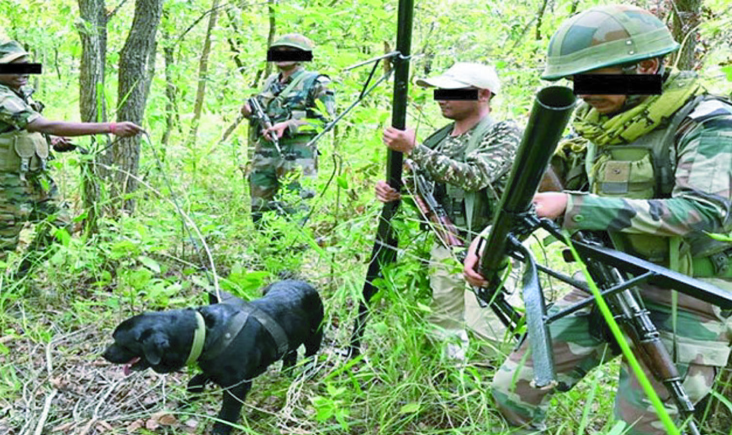 498d02e7-3b8b-4060-aa1a-097dea73776433133