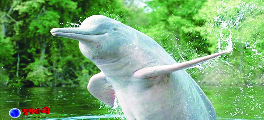 1c6ed7d8-55c9-4c2c-814a-f8f69cd3e83528328