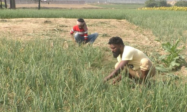 04fa94e8-6af9-42a7-a28a-447e677c605a29944