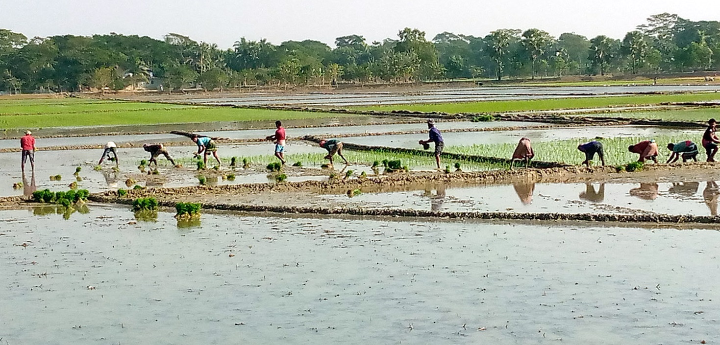 07396d52-ecea-498e-914d-c796c8bb0ab635619