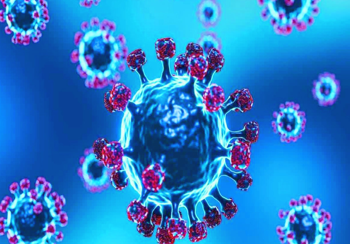 8892c764-a1d3-4f57-a462-c7aad91f3b5236762