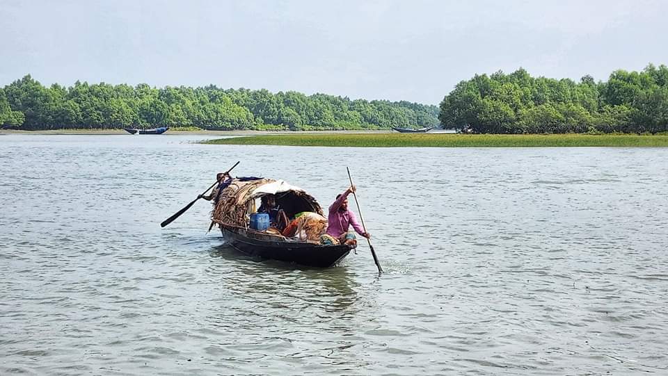 6dc78658-5473-4fce-8967-a1fff277bc3827037