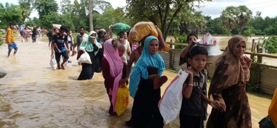 164177bf-0756-4017-bfb7-934911f3f44326784