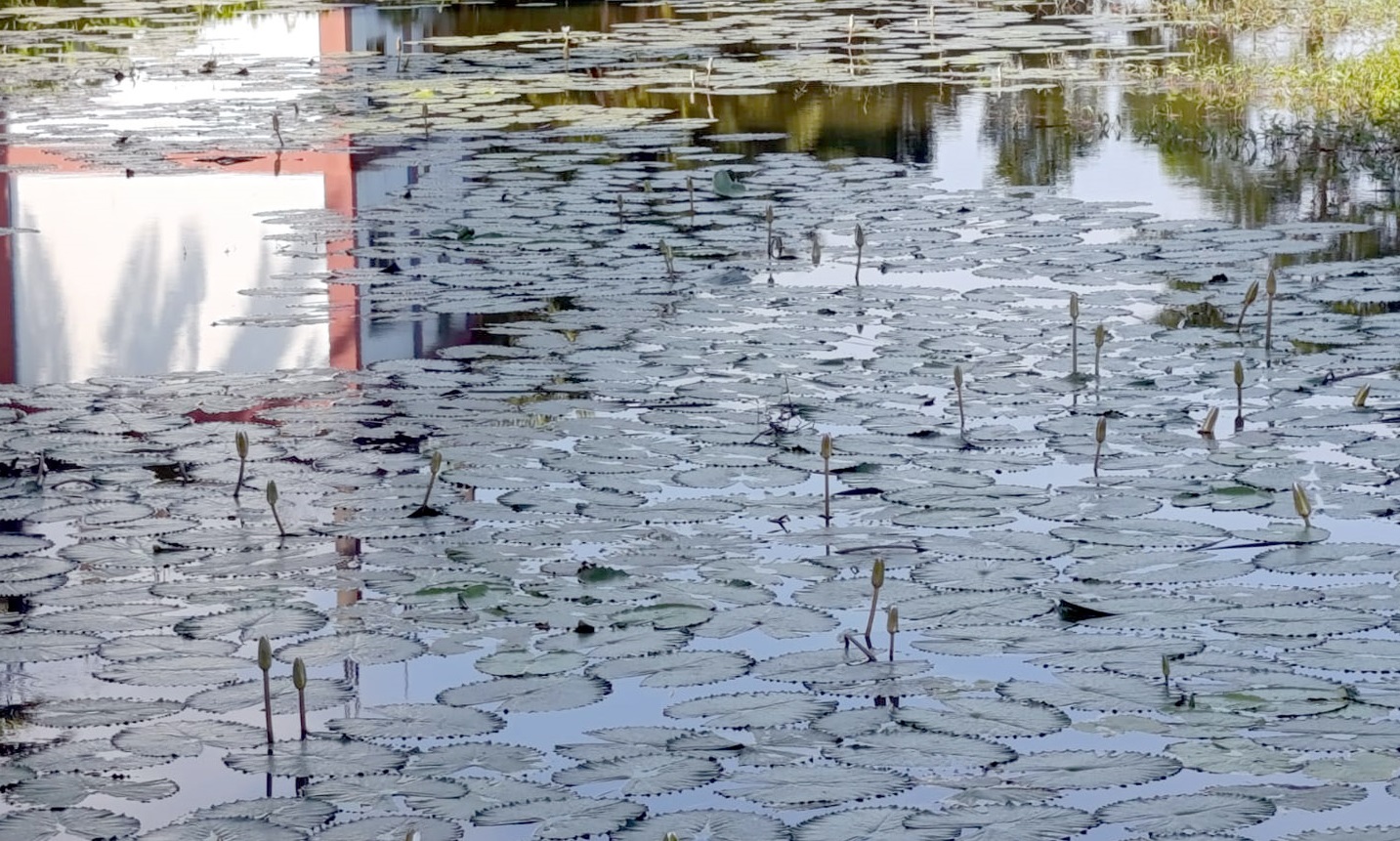 0de49dfd-fe84-4187-96d2-a5dcde70eb4e36273