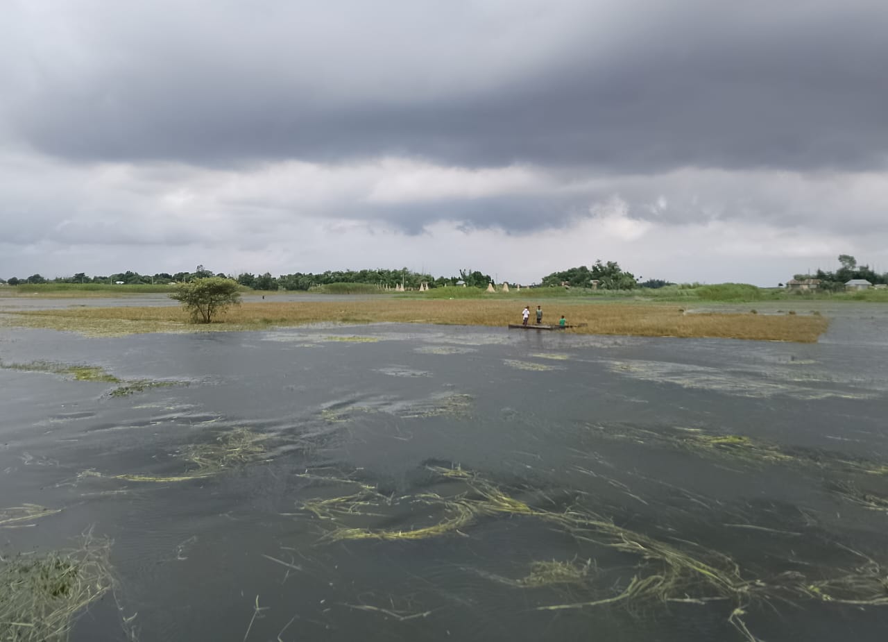 c0a5cb09-6840-45ef-8696-b6b7e647bb6035761