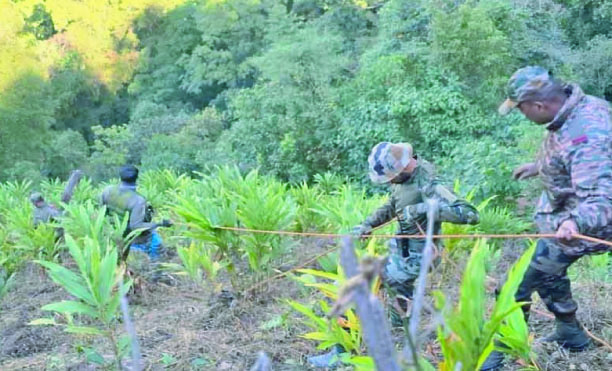 89831b5d-eb8e-4cd6-8fa6-57891ae4a8d938220