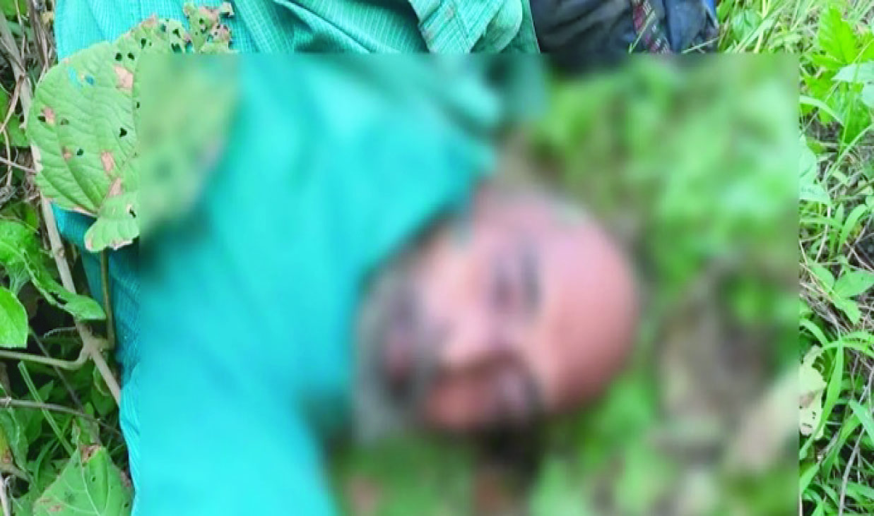 233110fd-af5d-4954-a58d-8ad857426f3c36867