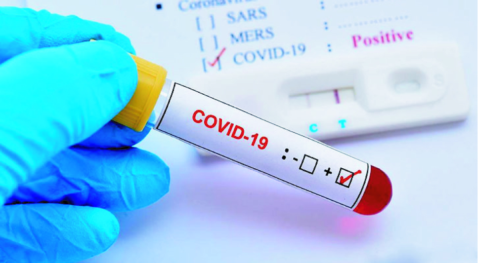 126d55dd-5921-4052-9881-6f963116f54729890