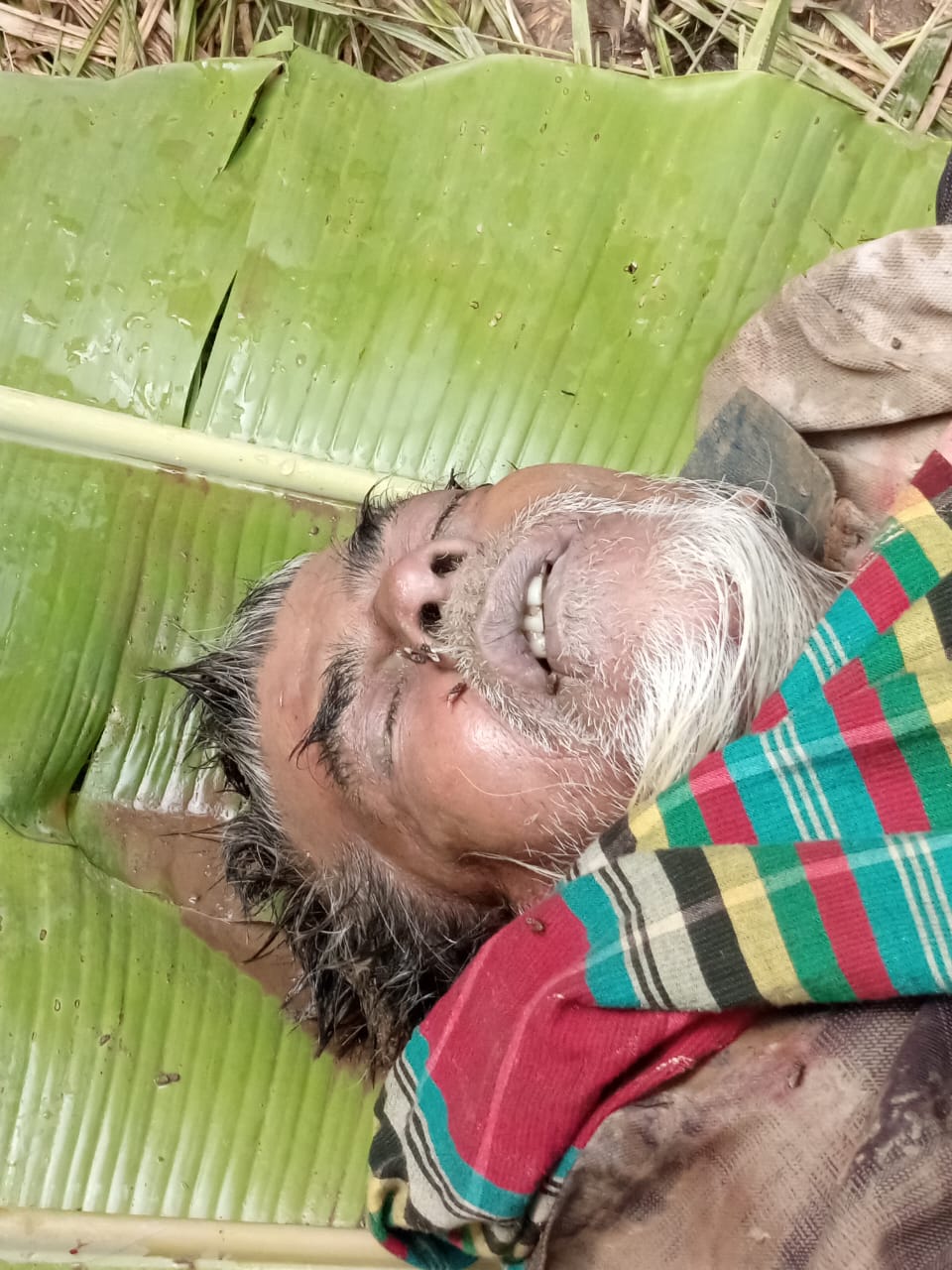 6f3cd471-00aa-4d87-b5c6-4bd17e70123428253