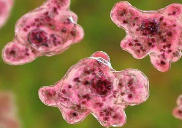 462eae14-fbc7-4bb1-95bb-1bcbe7ccc75536201