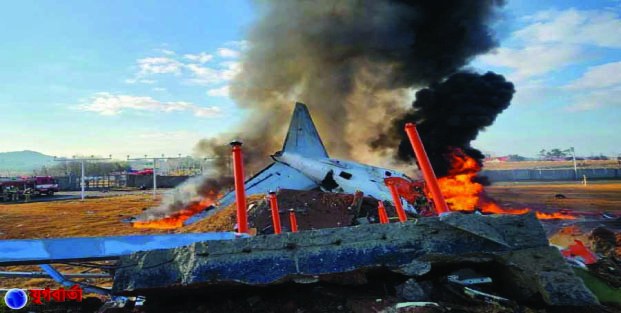 6254cfe0-e44e-458c-b25a-4334392d734929915