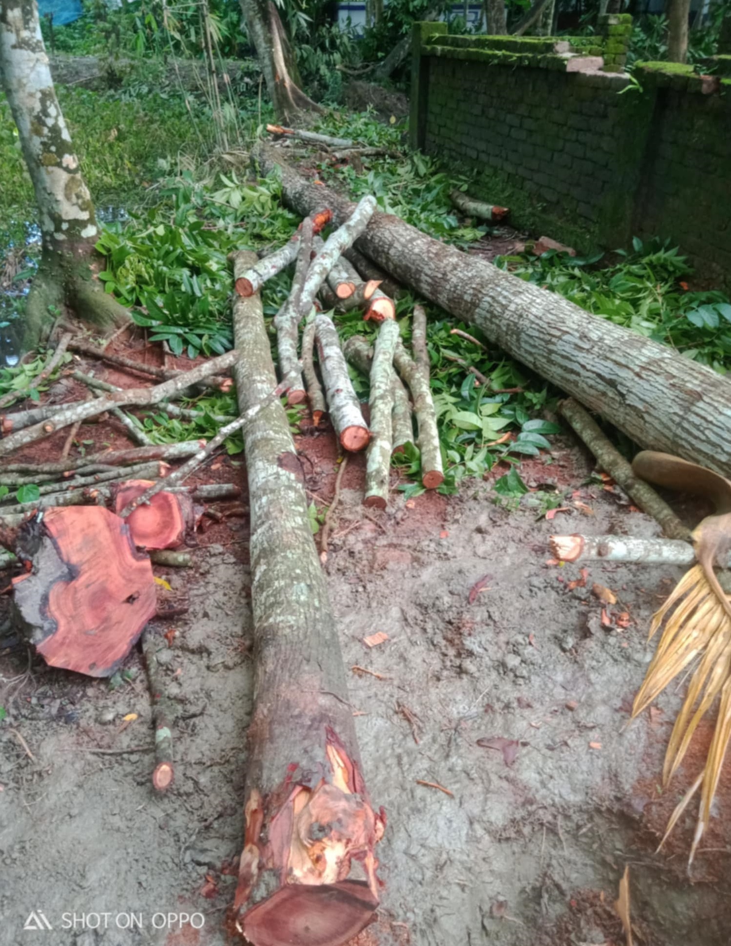 c0ef317f-c529-430c-9fe4-a8c314c655af34171