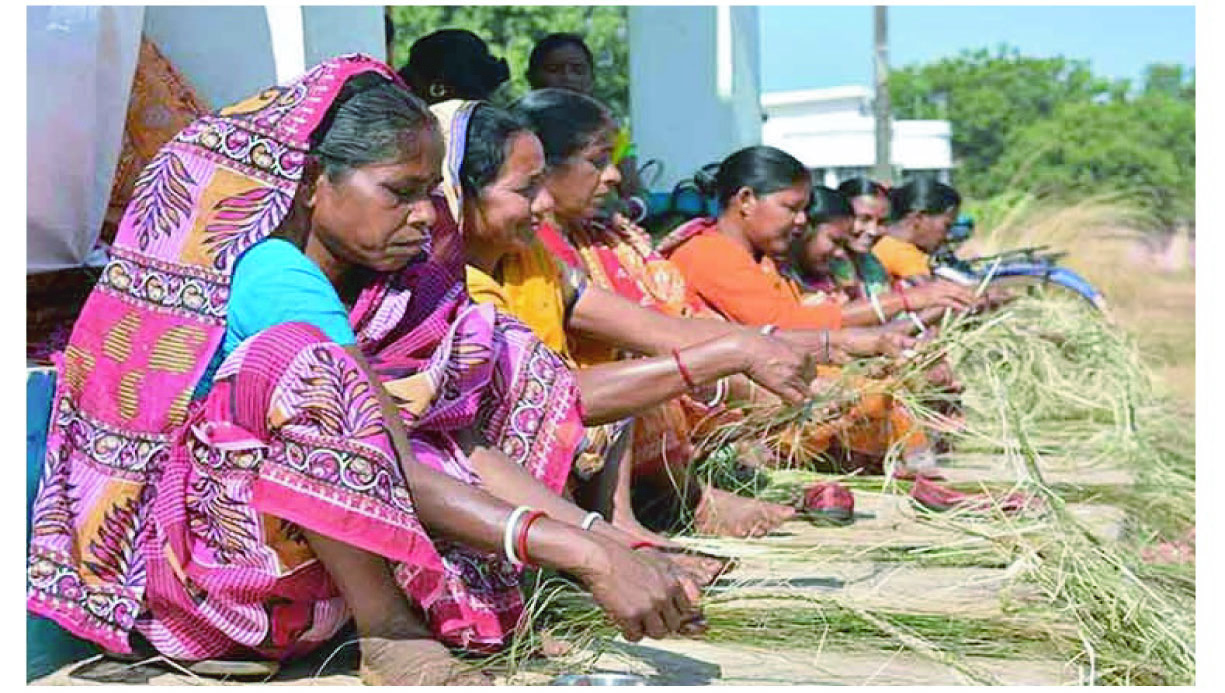 14deae69-a4ef-484f-b080-713ac3626de937687