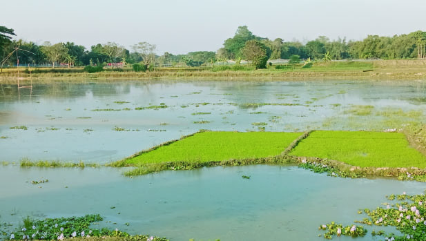 a53975f4-e0de-4912-acdb-8ad9b161345738096