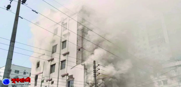 548d255d-cc5d-4382-aeb4-a75cb47881da31533