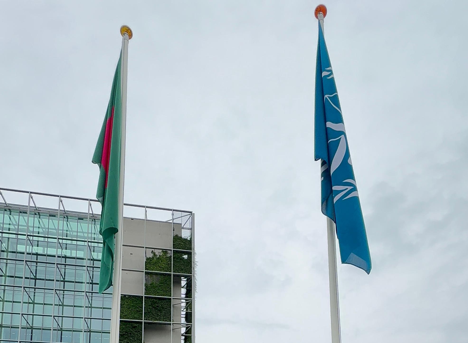 cdbd736a-b6a9-4e06-a09c-9ea68f4477aa26344