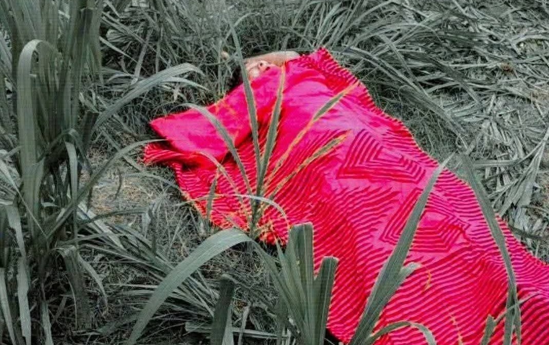 c7c23c20-0eeb-4c9c-b003-539cc9067c8b35564