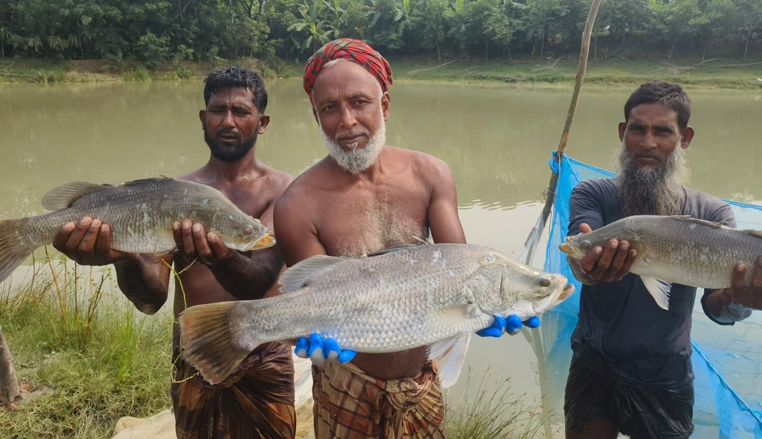 a9d7ef81-aeaa-4eb6-89bb-834ac56deb9234613