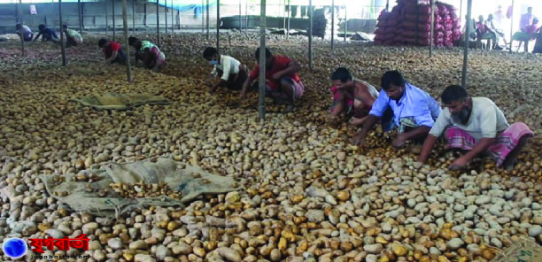 8cc49b31-4baa-4740-b391-a8c887fb2cb131514