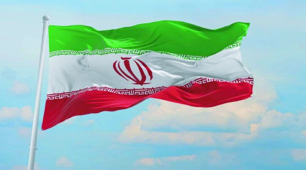 fdd6911d-f7fe-4214-93de-b1fc244fe4f233913