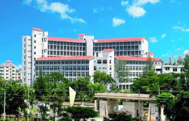 e40dec6d-c6d4-4dba-8180-d5dd72f4d52537388