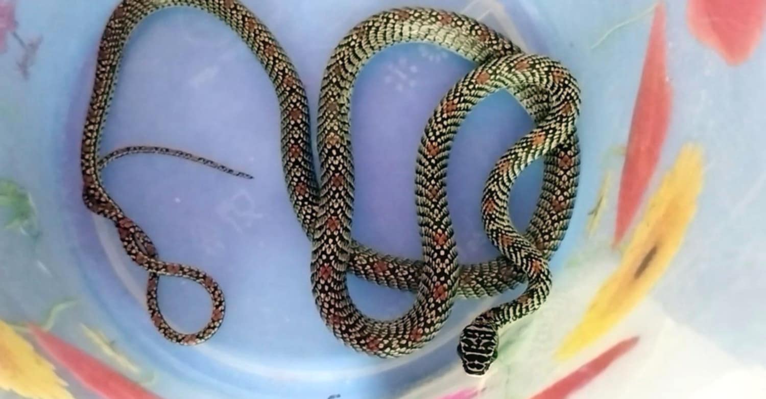 43b0ef57-870c-4e20-a571-29a634f8675334359