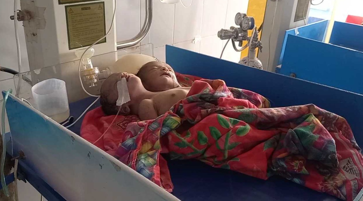 d13e86eb-ed52-490b-9de0-4f8ccc80a00233101