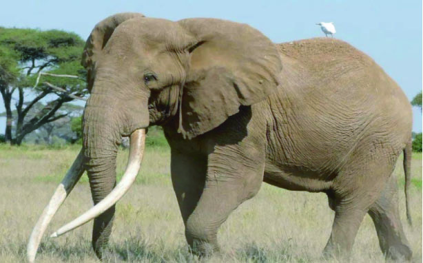 5919136f-e331-4b54-a24a-9aa3c8f9b44438713