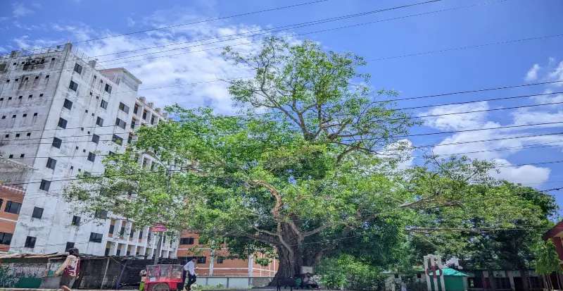 d389f7cc-c473-44b0-88bd-038042e314a033355