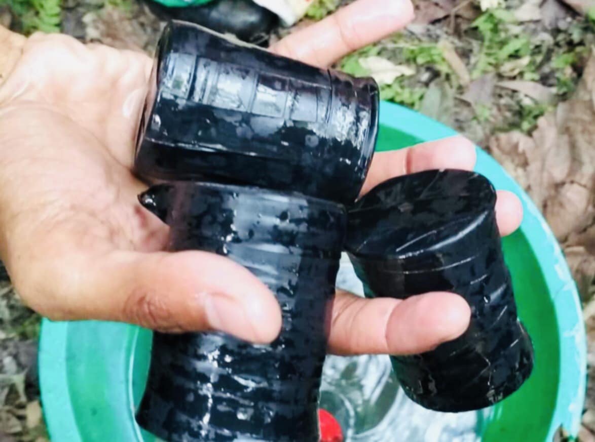 b264a67b-b693-46fd-bf2b-bf0f8d77f08631198