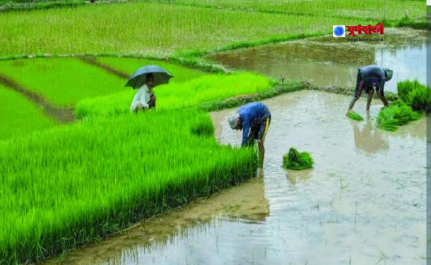 2731c19d-4242-4cd1-ac91-9cb74bb533ab38045