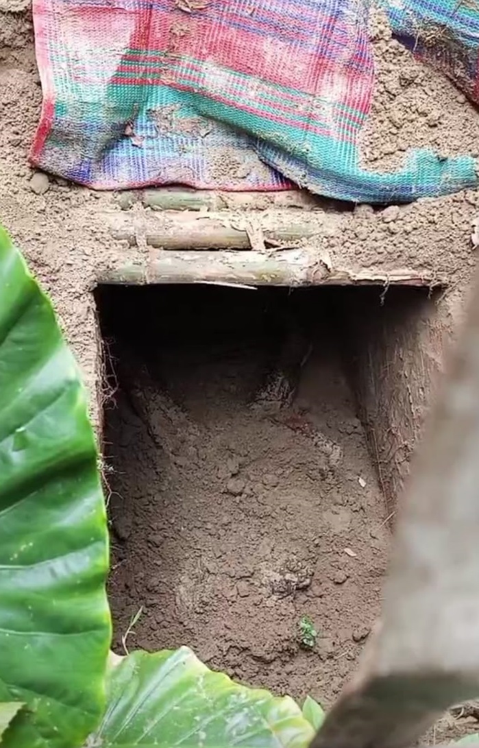 2482b50a-61d3-4515-aabd-d7ebc0c6762933280