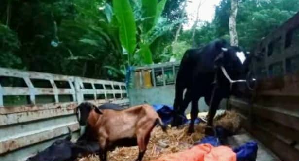 91098f58-f46c-4aca-acf1-99f4081fb33a36231