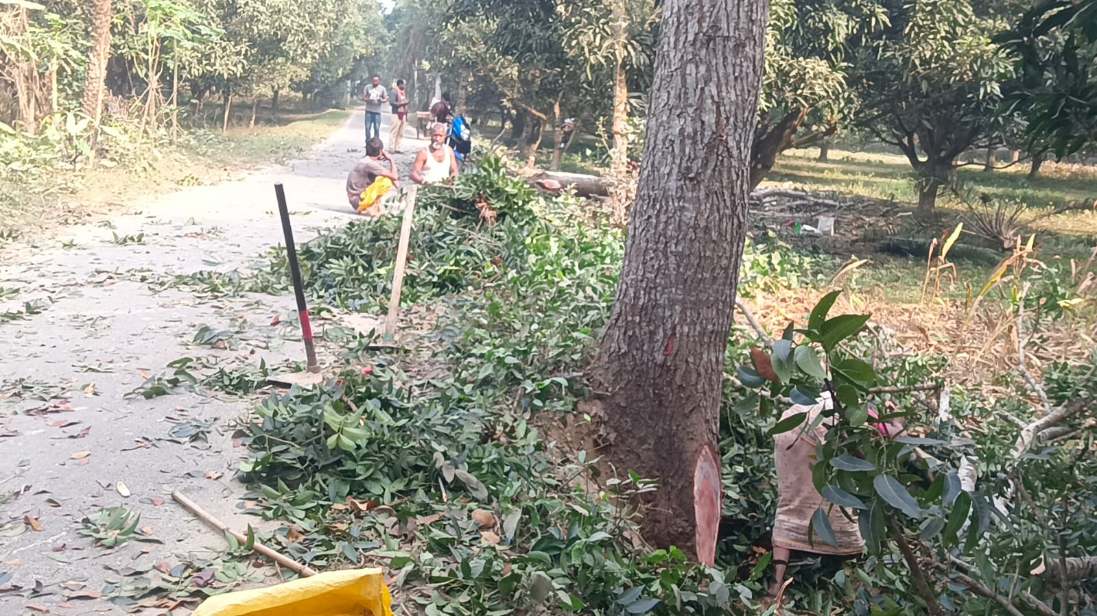 03eff286-2346-413f-b0de-e7000c31141238478