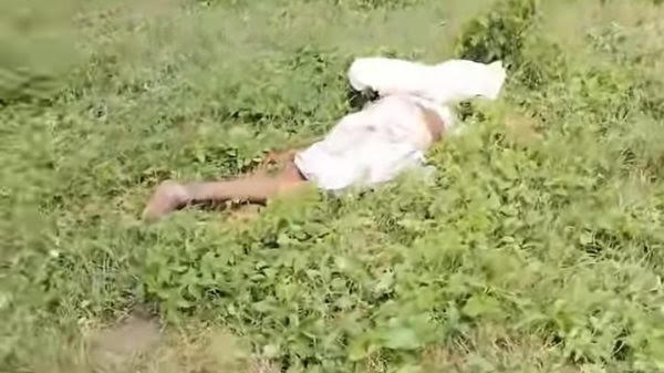 039f0187-ff7c-4282-ac31-7ce34a93aa8b34234