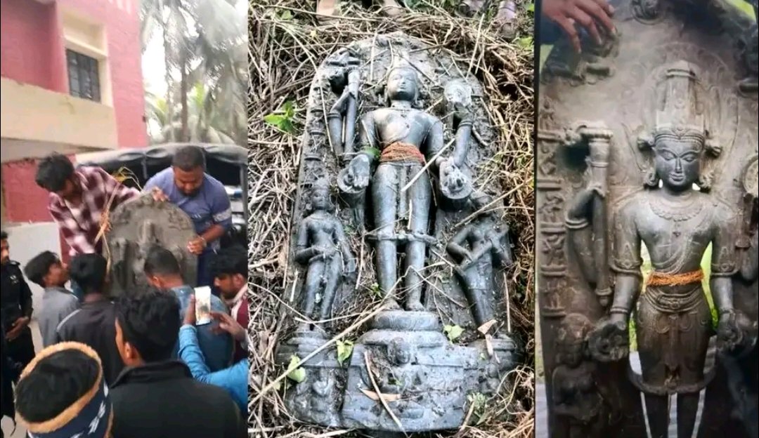 d5c747bd-f904-45b8-8706-a89df6d11d5439003