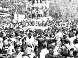 7b808b6a-96a1-480a-867c-38e0bae9ff8a28981