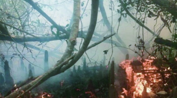 f5560c3a-2b1c-418f-ac81-d86be255365732016