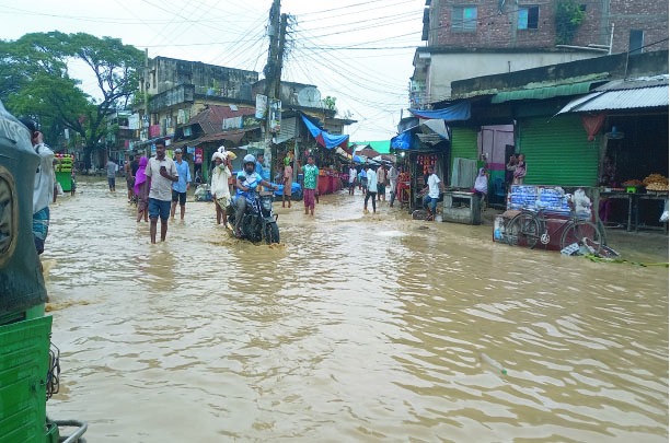 a1d0695a-7e78-4d37-9d66-c7347d0b902b36185