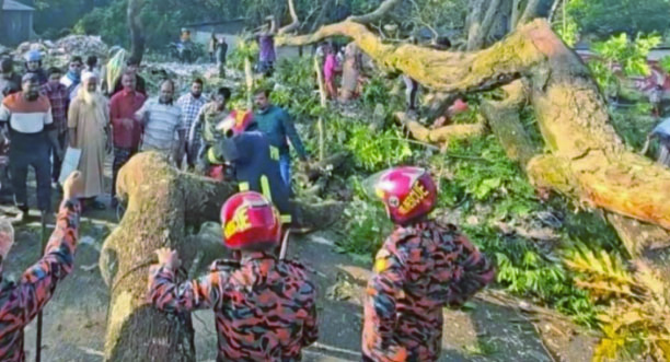 f76bc0cb-af87-4fd9-a288-cbfe765abd0c37606